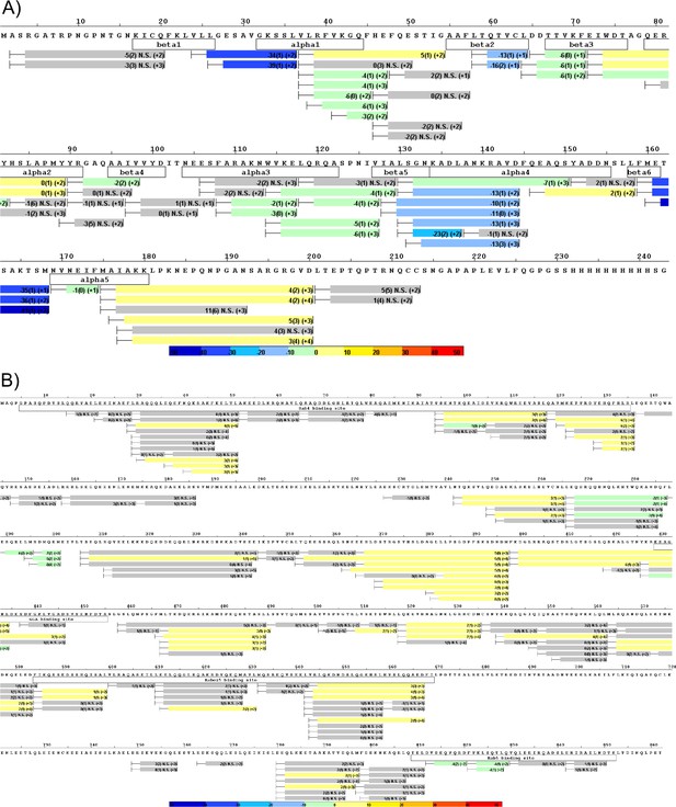 Figures and data in A non-linear system patterns Rab5 GTPase on the ...