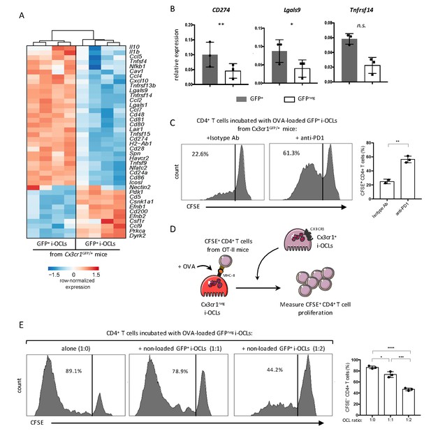 Dissecting the phenotypic and functional heterogeneity of mouse ...