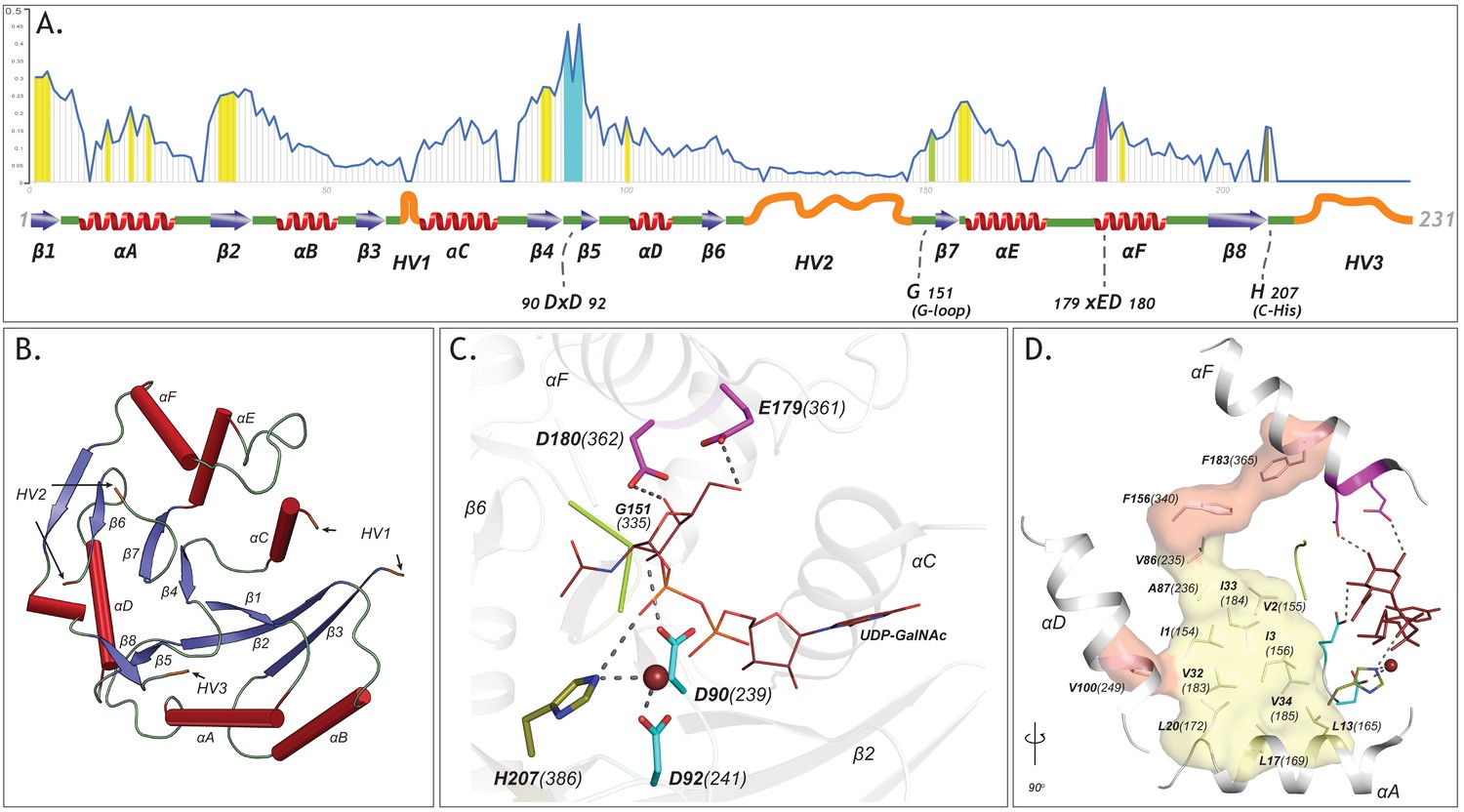 Figures And Data In Deep Evolutionary Analysis Reveals The Design ...