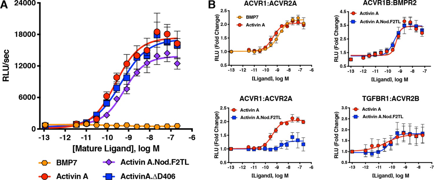 Activin A Forms A Non-signaling Complex With ACVR1 And Type II Activin ...