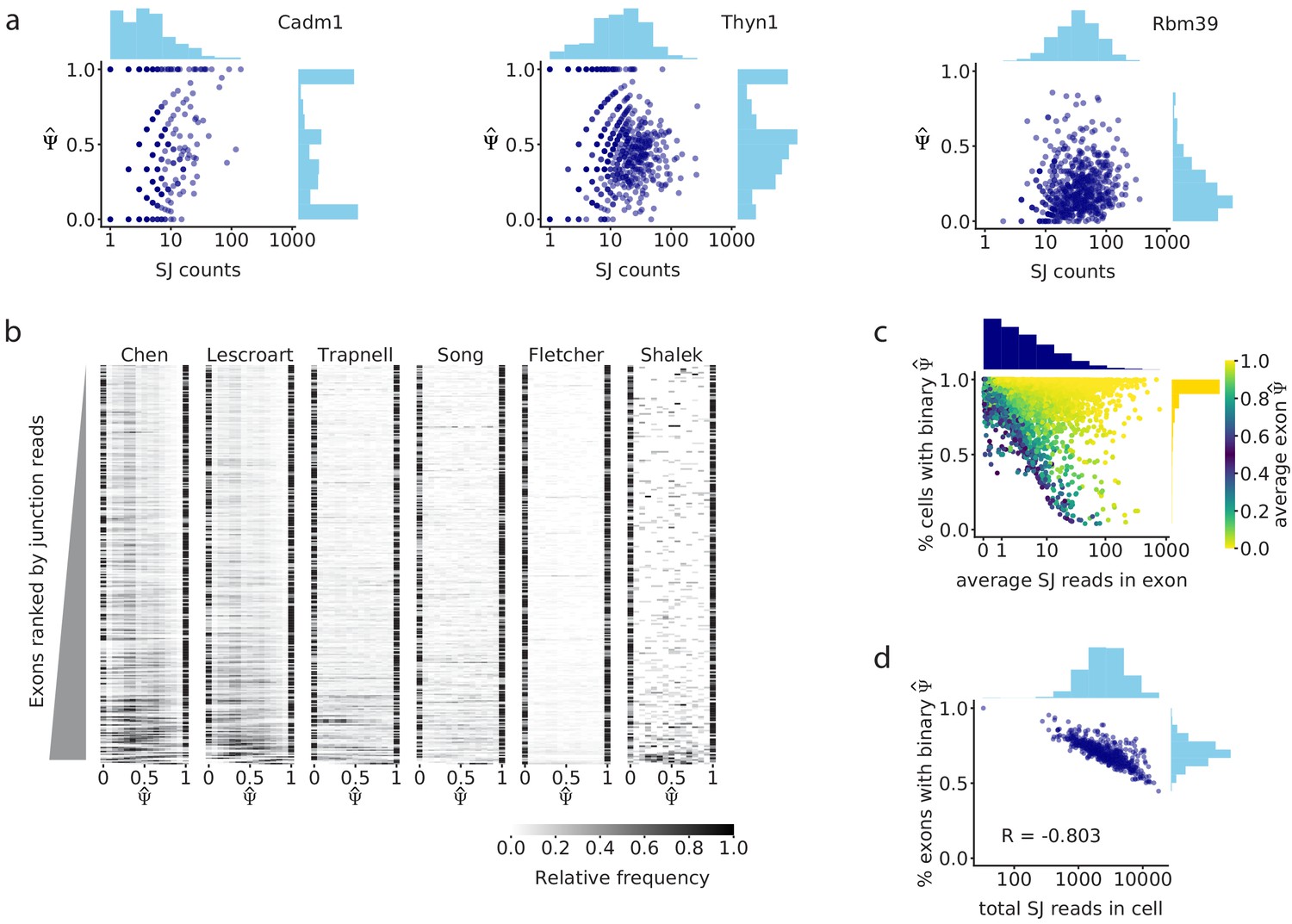 The role of electroencephalography in epilepsy research—From
