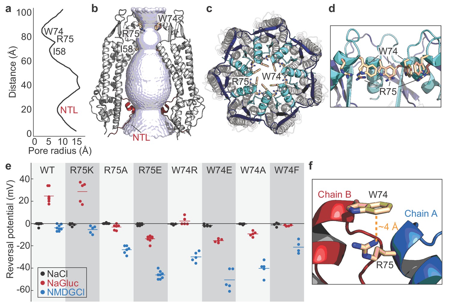 The Cryo-EM structure of pannexin 1 reveals unique motifs