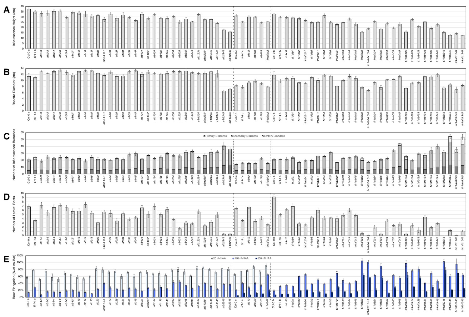 Figures And Data In Genetic Analysis Of The Arabidopsis TIR1 AFB Auxin