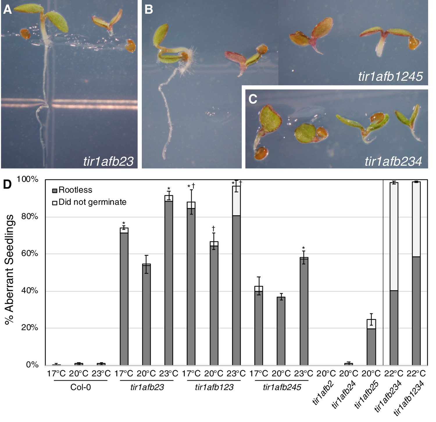 Figures And Data In Genetic Analysis Of The Arabidopsis TIR1 AFB Auxin