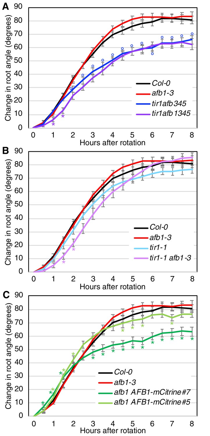 Figures And Data In Genetic Analysis Of The Arabidopsis TIR1 AFB Auxin