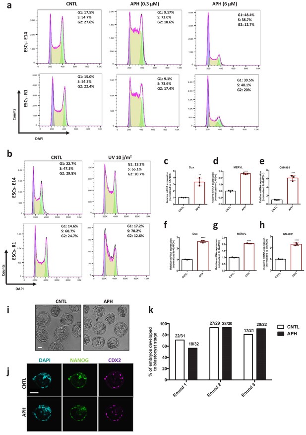 Figures and data in ATR expands embryonic stem cell fate potential in ...