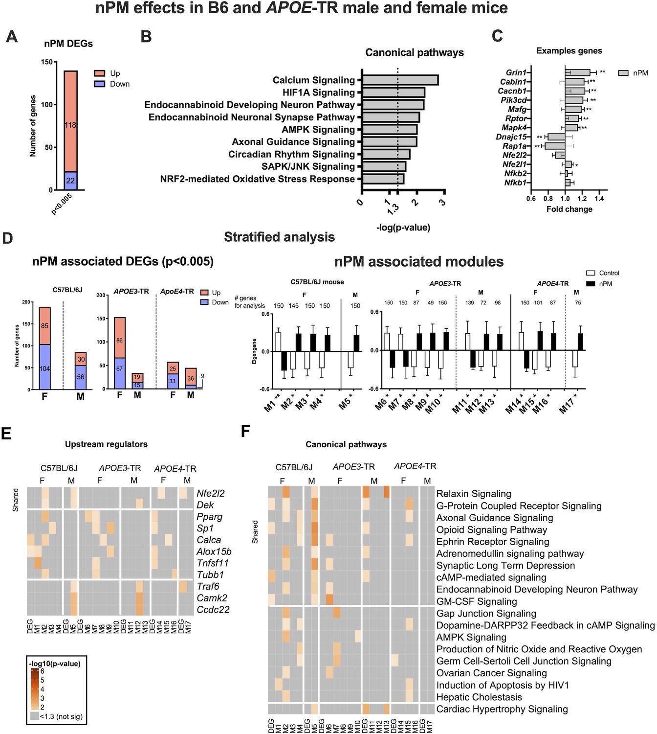 Mouse Brain Transcriptome Responses To Inhaled Nanoparticulate Matter