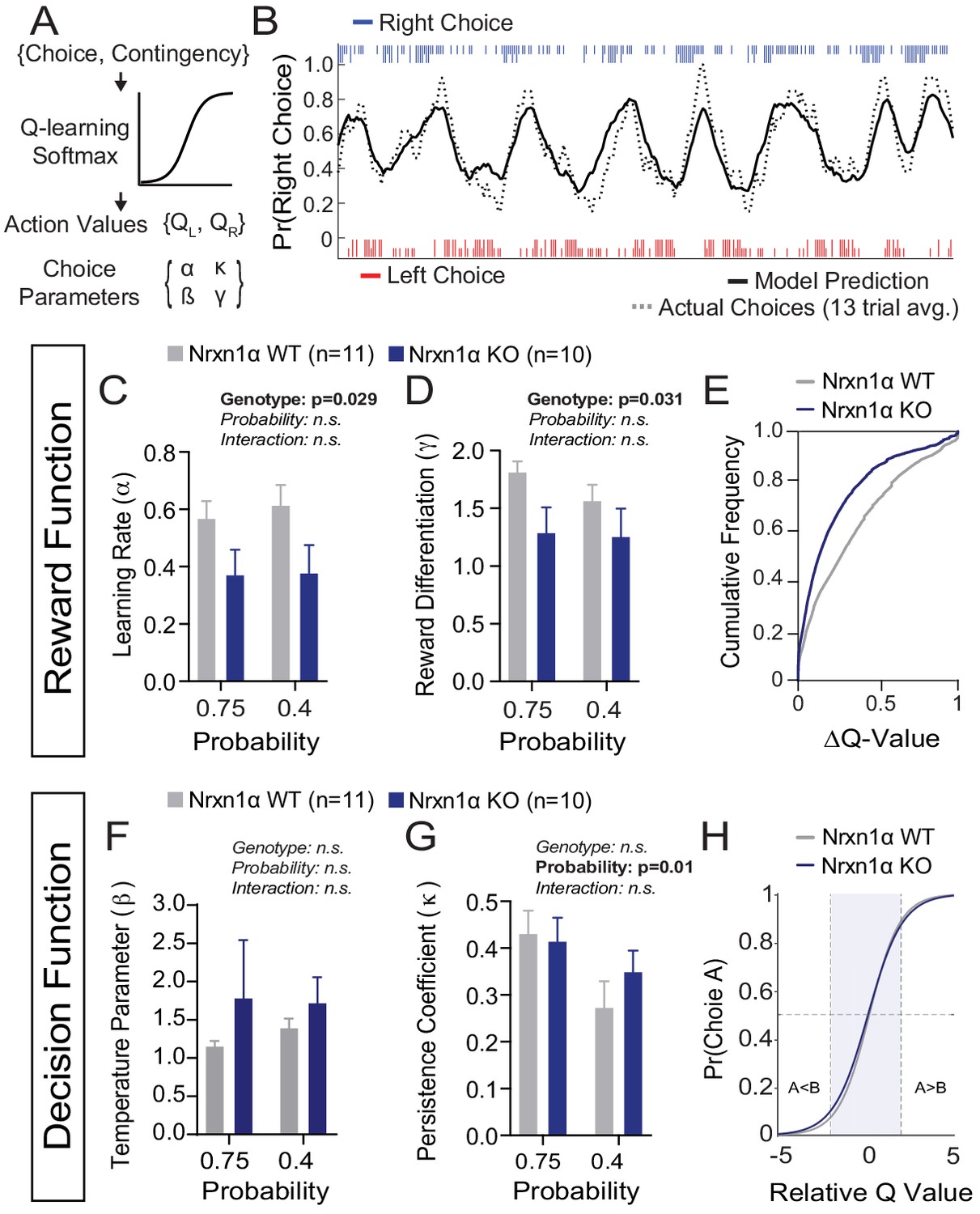 Disruption Of Nrxn1a Within Excitatory Forebrain Circuits Drives Value Based Dysfunction Elife