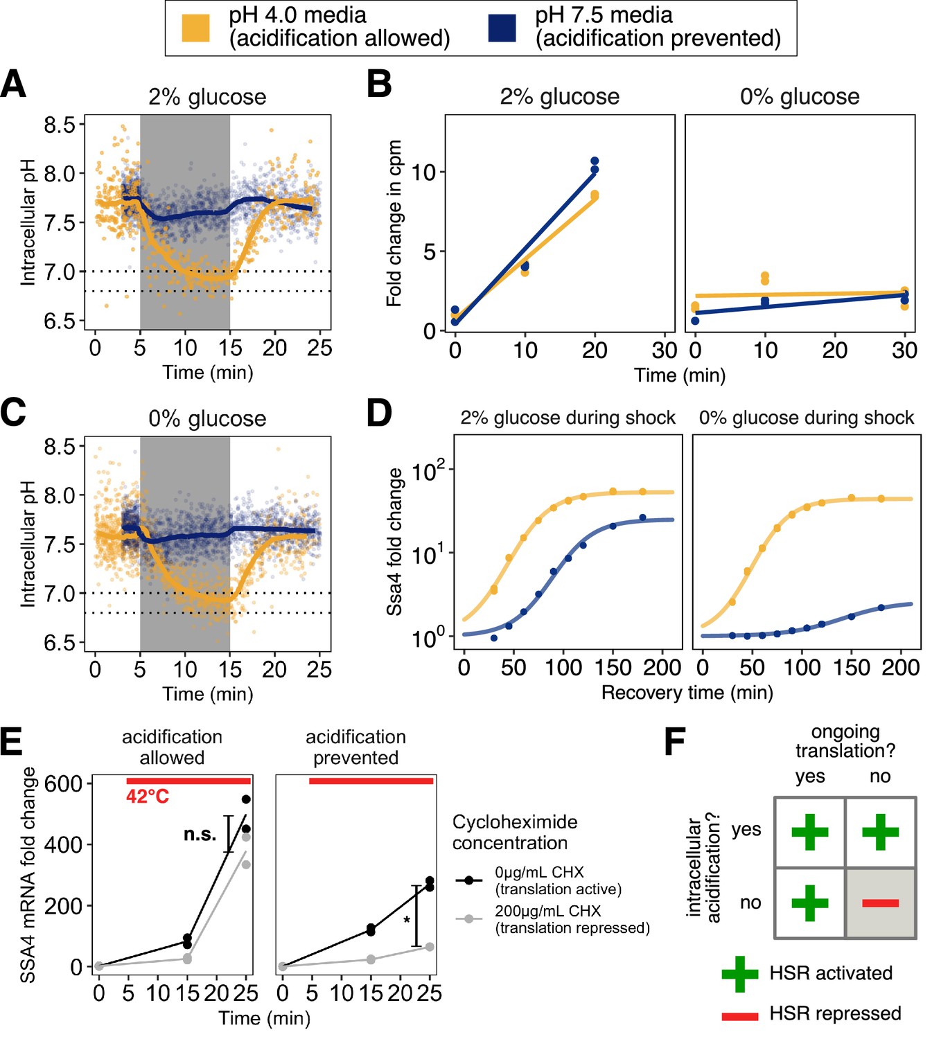 Regulation Of The Heat Shock Transcriptional Response Cross Talk