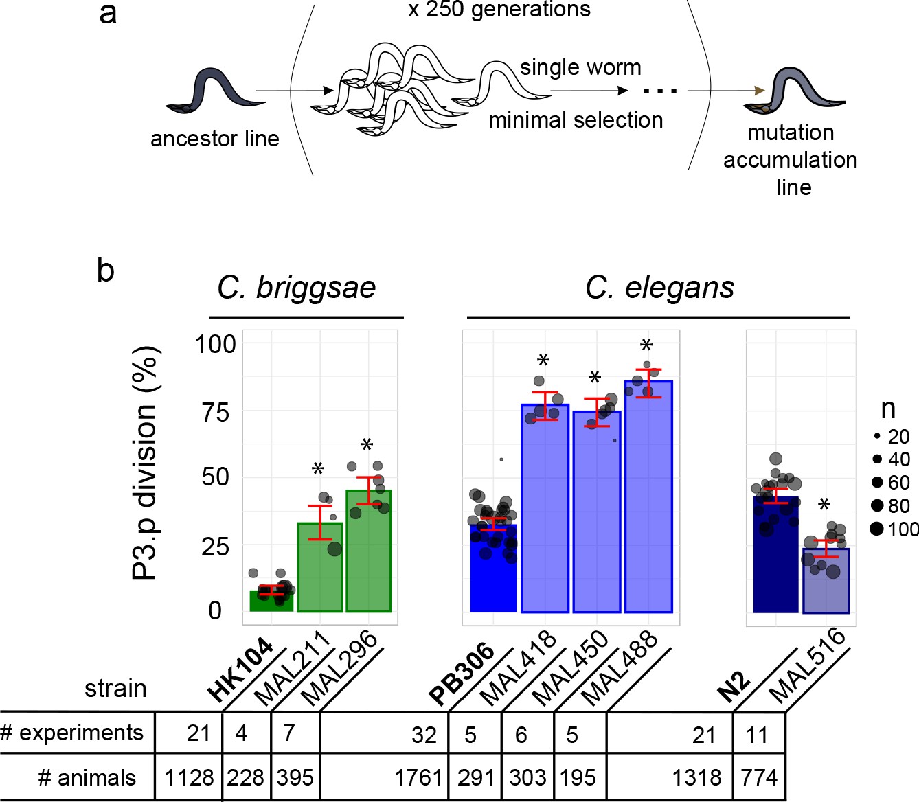 A Broad Mutational Target Explains A Fast Rate Of Phenotypic Evolution Elife