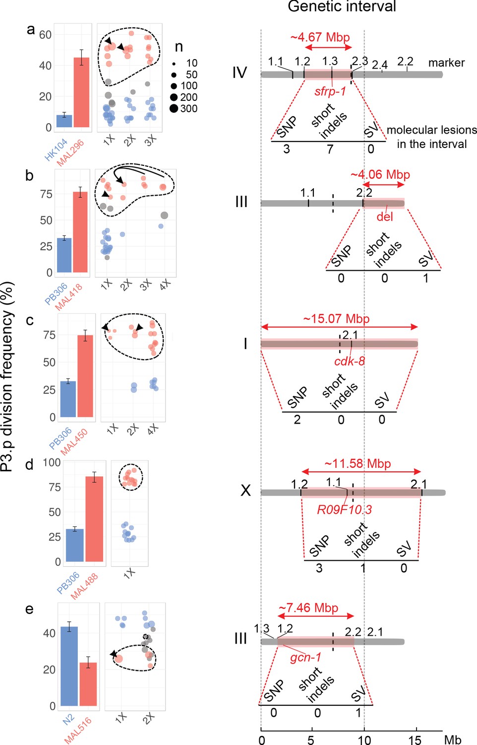 A Broad Mutational Target Explains A Fast Rate Of Phenotypic Evolution Elife