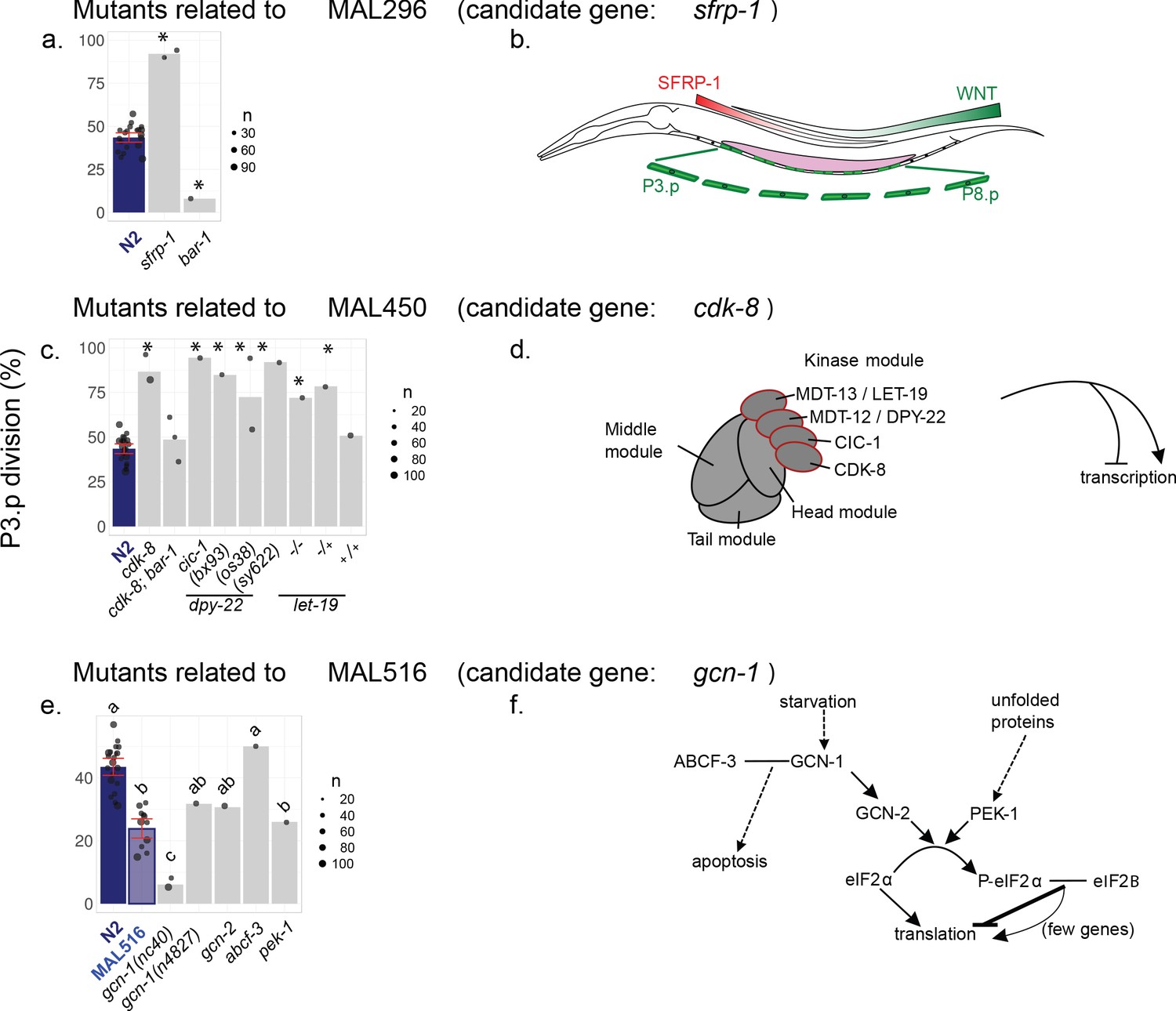 Figures And Data In A Broad Mutational Target Explains A Fast Rate Of ...