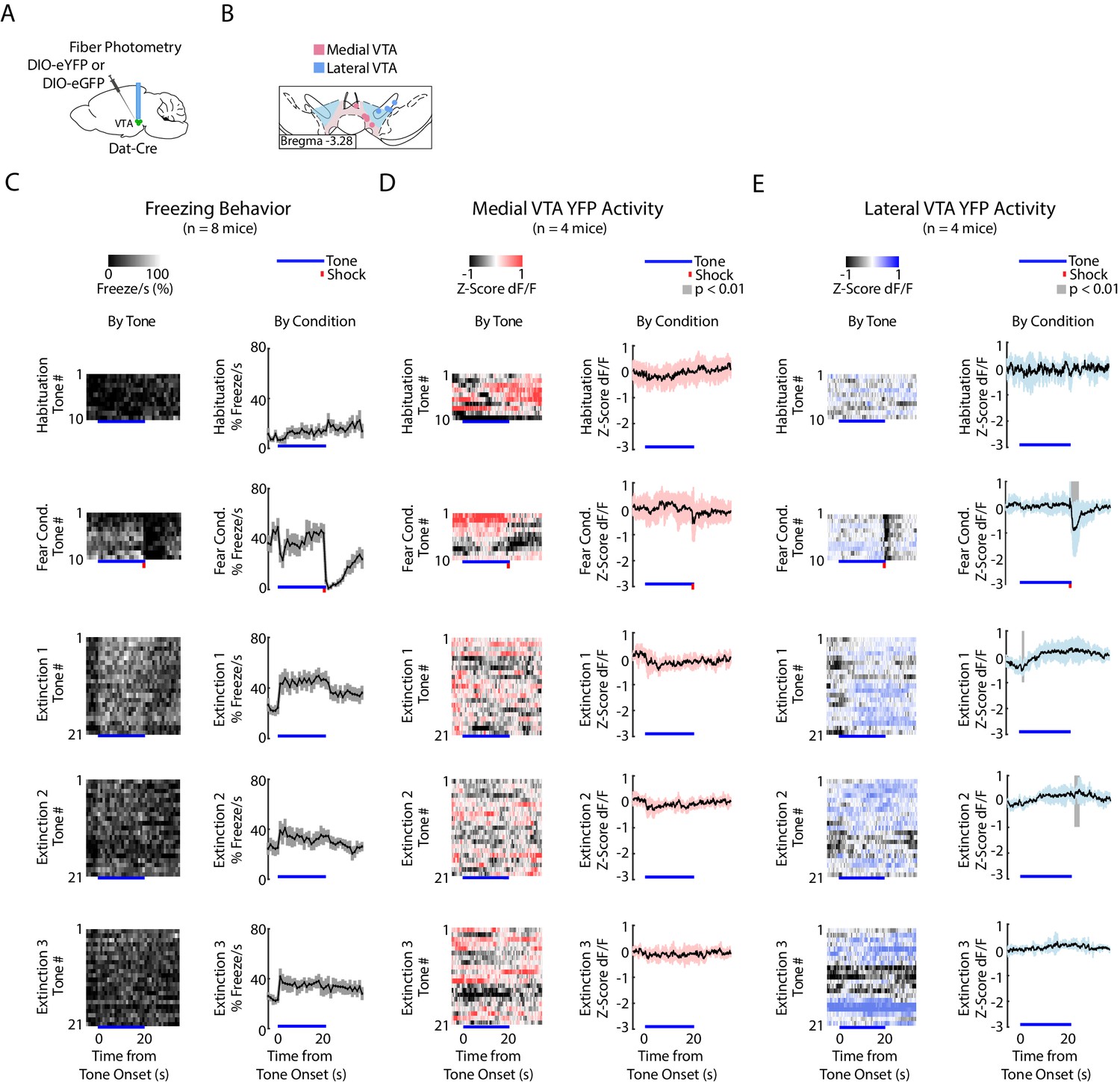 Figures and data in Distinct signals in medial and lateral VTA