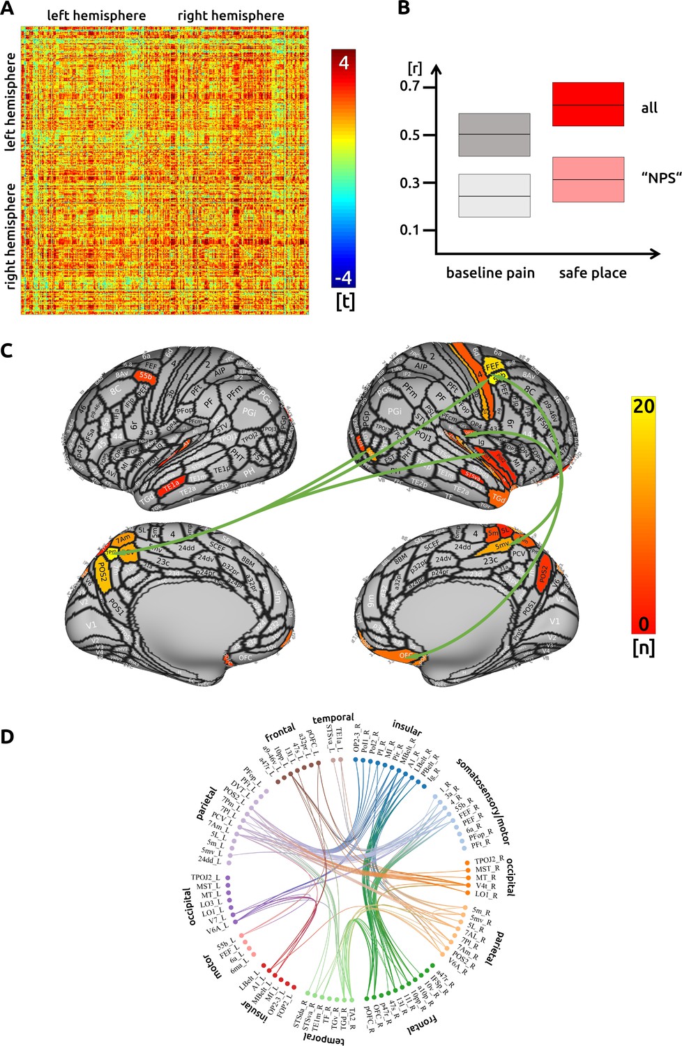 Ultra-high-field Imaging Reveals Increased Whole Brain Connectivity ...