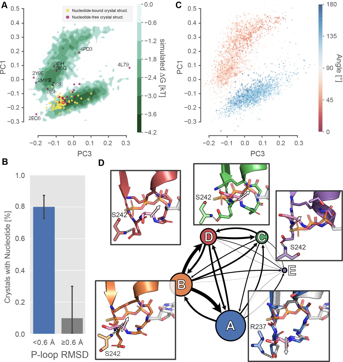 Conformational Distributions Of Isolated Myosin Motor Domains Encode Their Mechanochemical Properties Elife