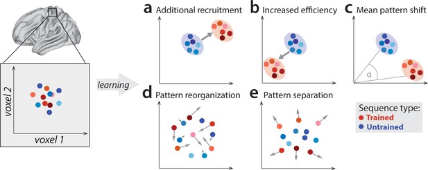 Figures and data in A critical re-evaluation of fMRI signatures of ...