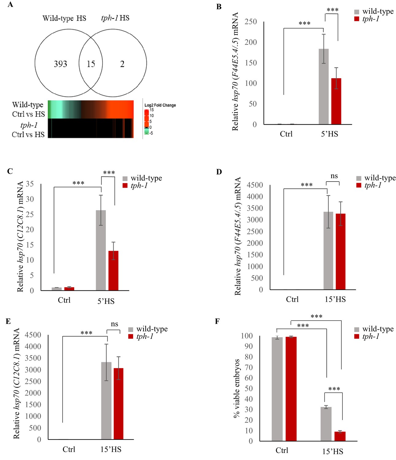 Serotonin signaling by maternal neurons upon stress ensures