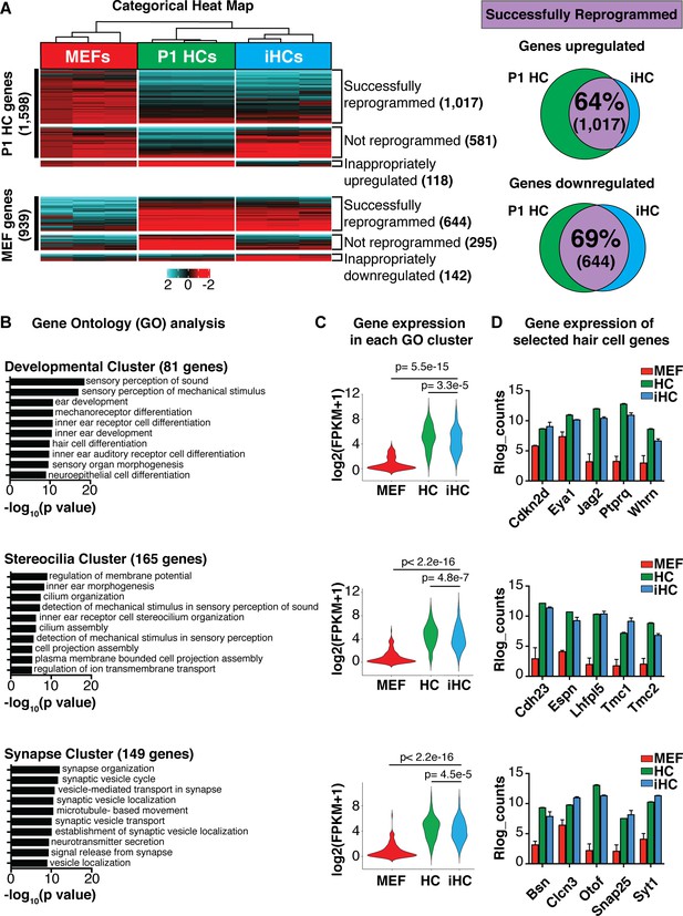 Figures And Data In Generation Of Inner Ear Hair Cells By Direct ...