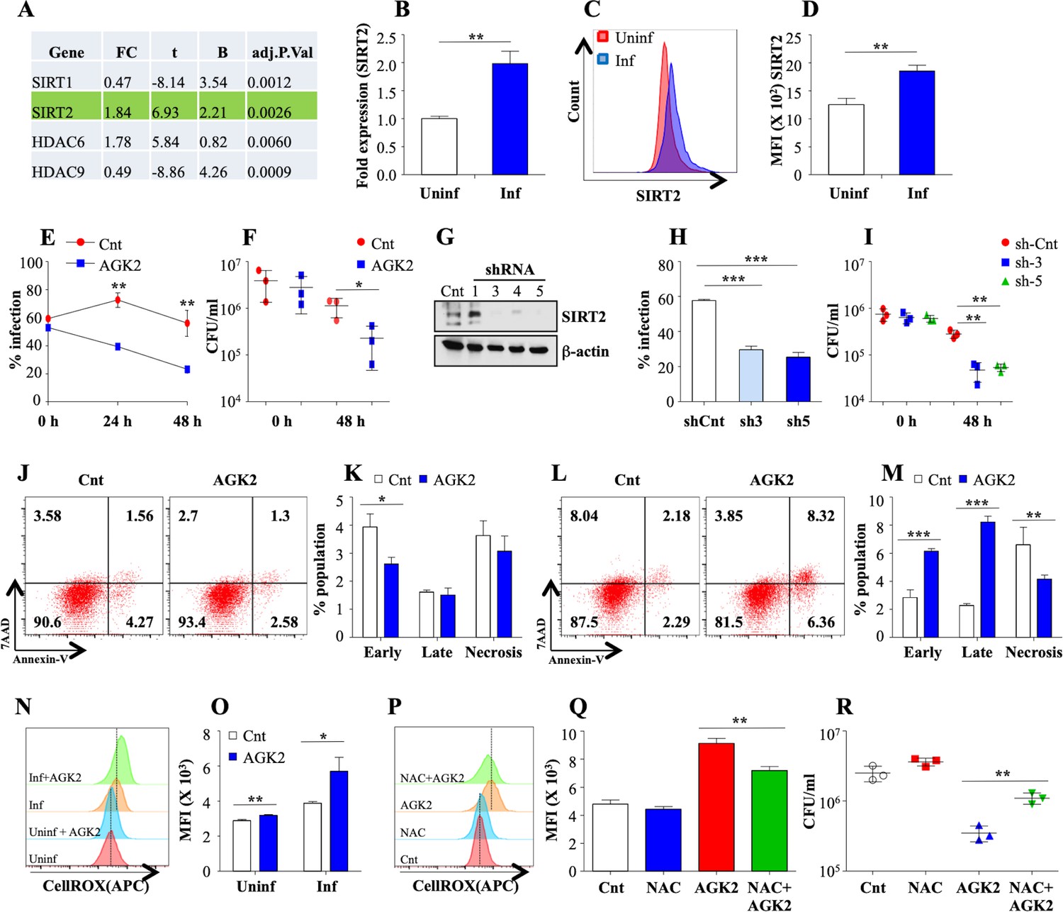 S. Typhimurium evades autophagy by disrupting Sirt1-dependent AMPK