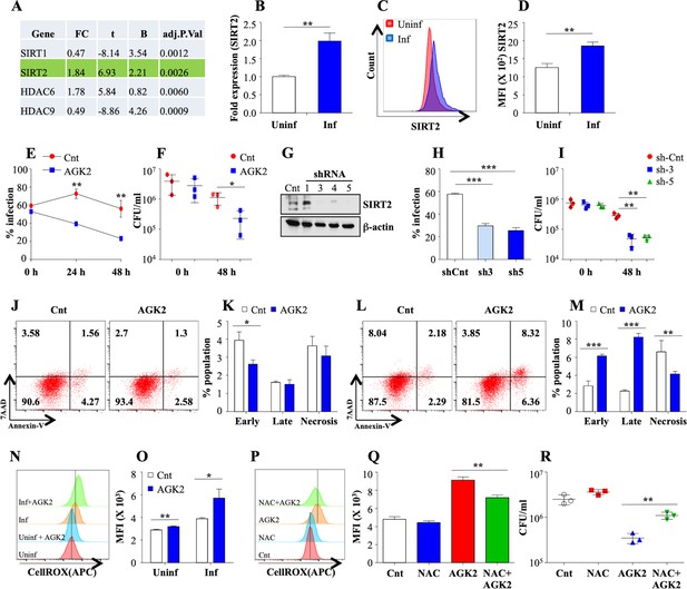 Host sirtuin 2 as an immunotherapeutic target against tuberculosis | eLife