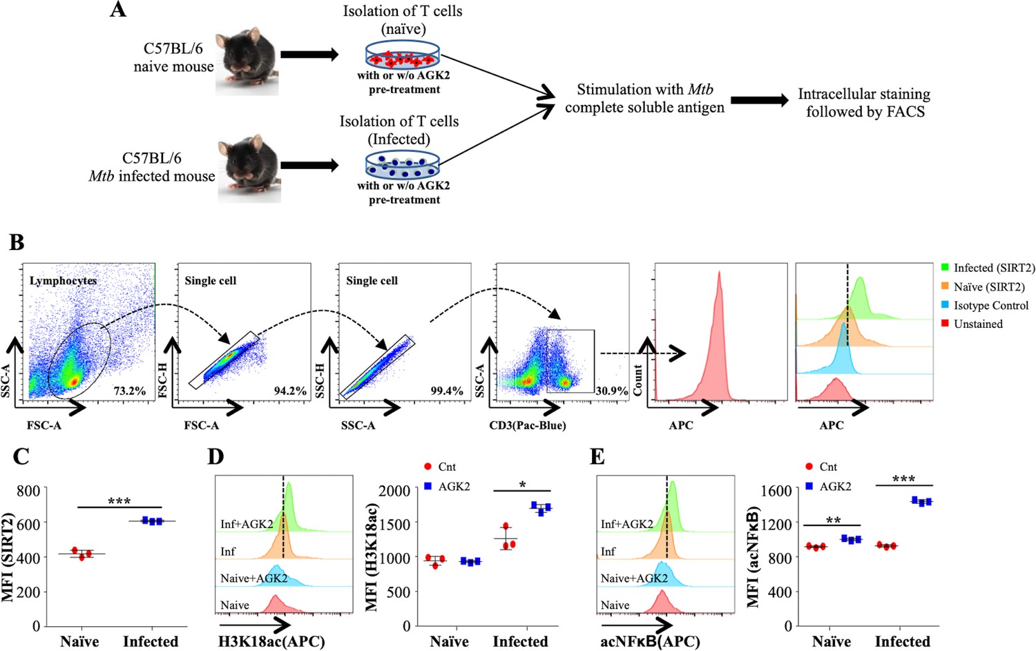 Host sirtuin 2 as an immunotherapeutic target against tuberculosis | eLife