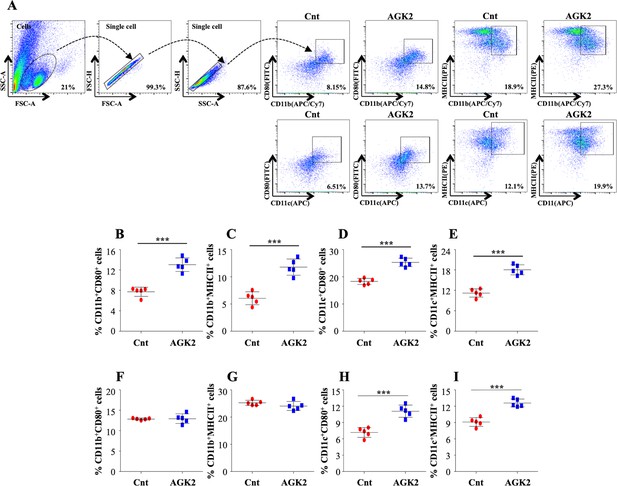 Host sirtuin 2 as an immunotherapeutic target against tuberculosis | eLife