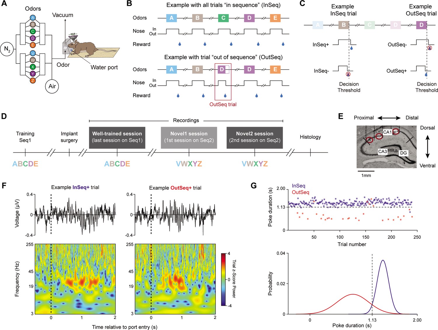 Proximal CA1 20–40 Hz power dynamics reflect trial-specific Proximal CA1 20–40 Hz power dynamics reflect trial-specific