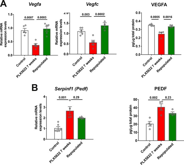 Figures And Data In CSF1R Blockade Induces Macrophage Ablation And