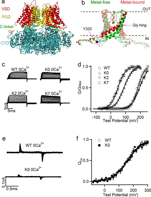 Figures And Data In Aromatic Interactions With Membrane Modulate Human ...