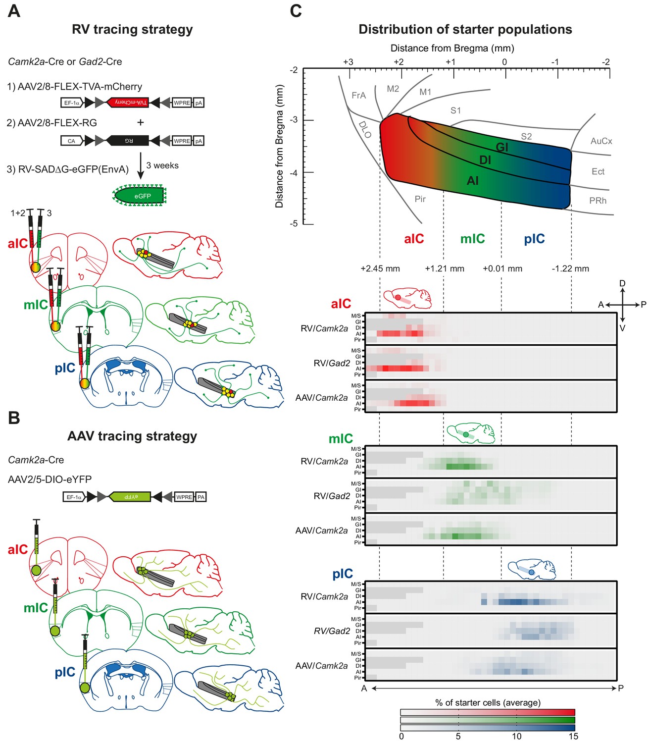 File:Enhanced functional connectivity of insula in high elo action