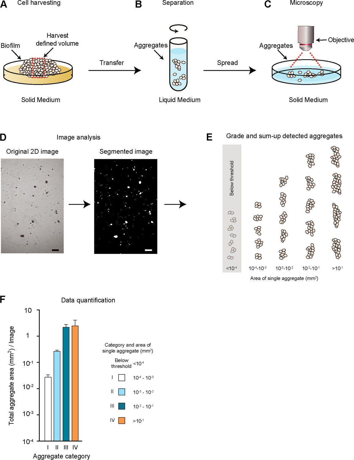 Figures and data in Kin discrimination in social yeast is mediated by ...