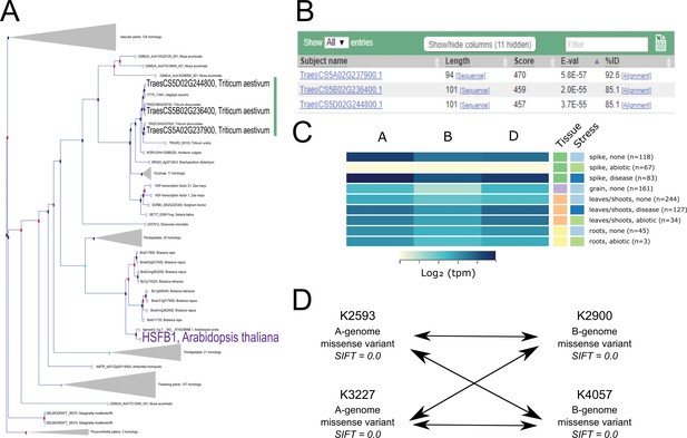 A Roadmap For Gene Functional Characterisation In Crops With Large ...