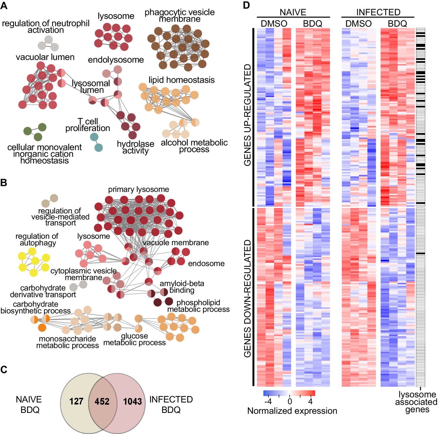 Figures and data in The antibiotic bedaquiline activates host