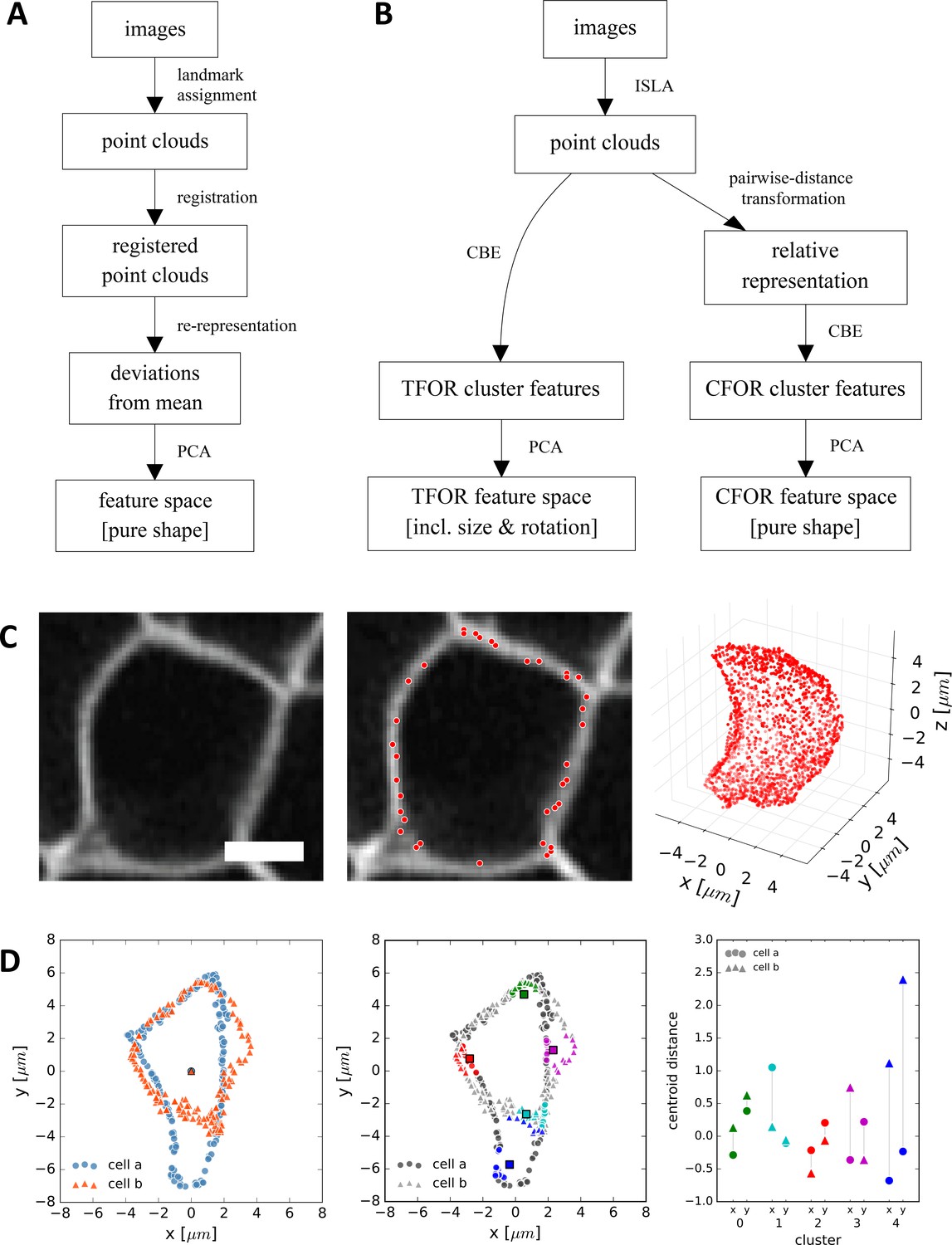 An image-based data-driven analysis of cellular architecture