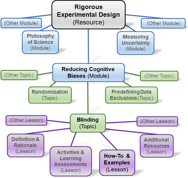 Research Culture: Framework for advancing rigorous research | eLife