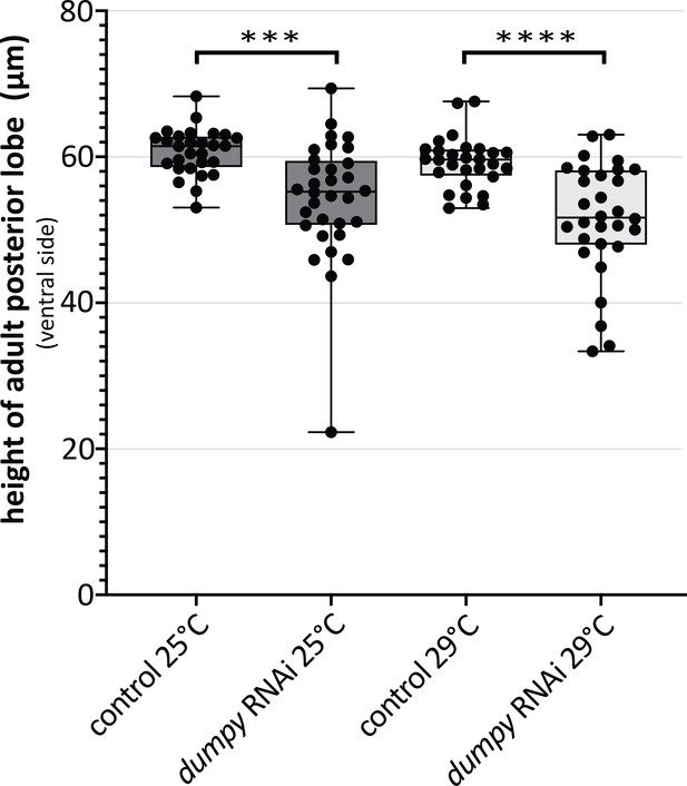 Figures And Data In Evolutionary Expansion Of Apical Extracellular 