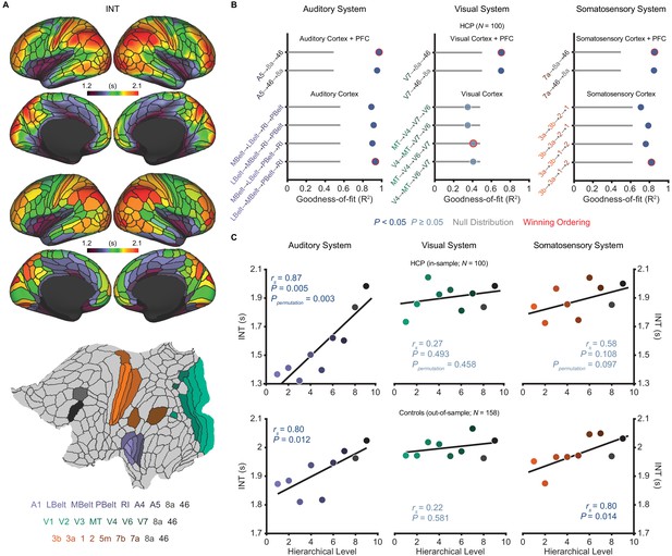 Distinct Hierarchical Alterations Of Intrinsic Neural Timescales ...