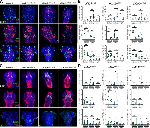 Figures and data in Vanishing white matter disease expression of