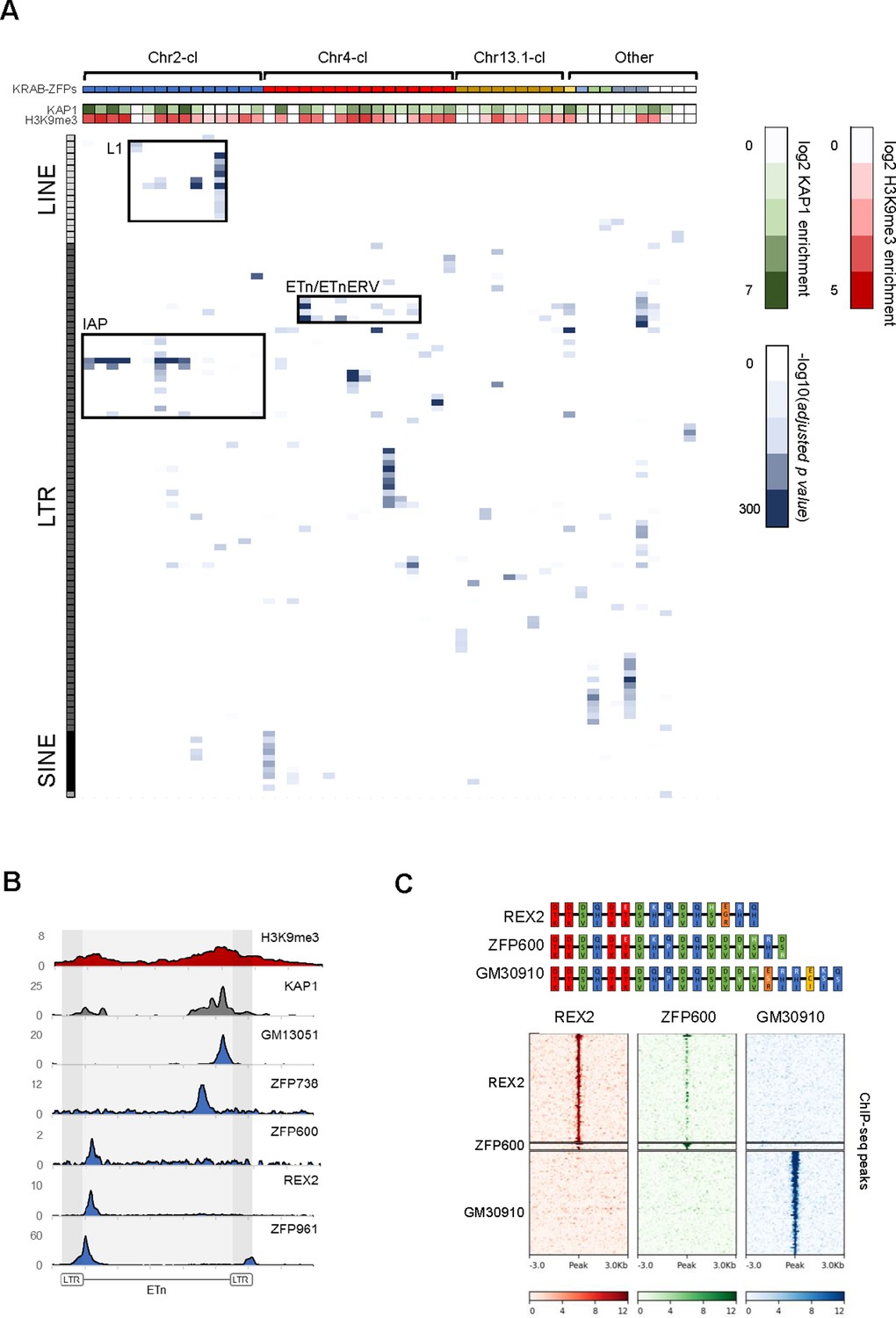 KRAB-zinc finger protein gene expansion in response to active 