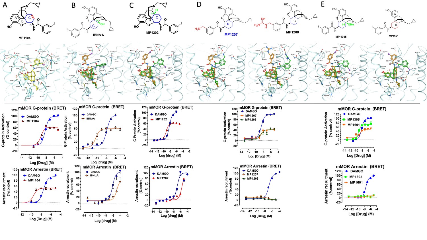 Controlling Opioid Receptor Functional Selectivity By Targeting Distinct Subpockets Of The Orthosteric Site Elife