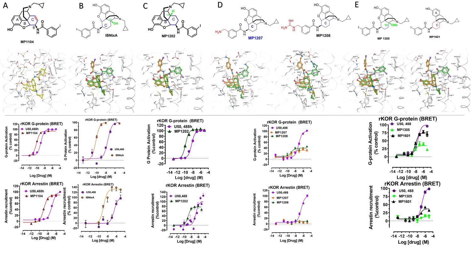 Controlling Opioid Receptor Functional Selectivity By Targeting Distinct Subpockets Of The Orthosteric Site Elife