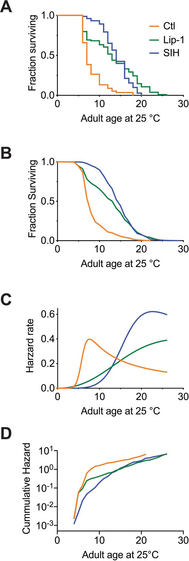 Changes In Ferrous Iron And Glutathione Promote Ferroptosis And Frailty