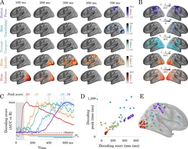 Recurrent Processes Support A Cascade Of Hierarchical Decisions | ELife