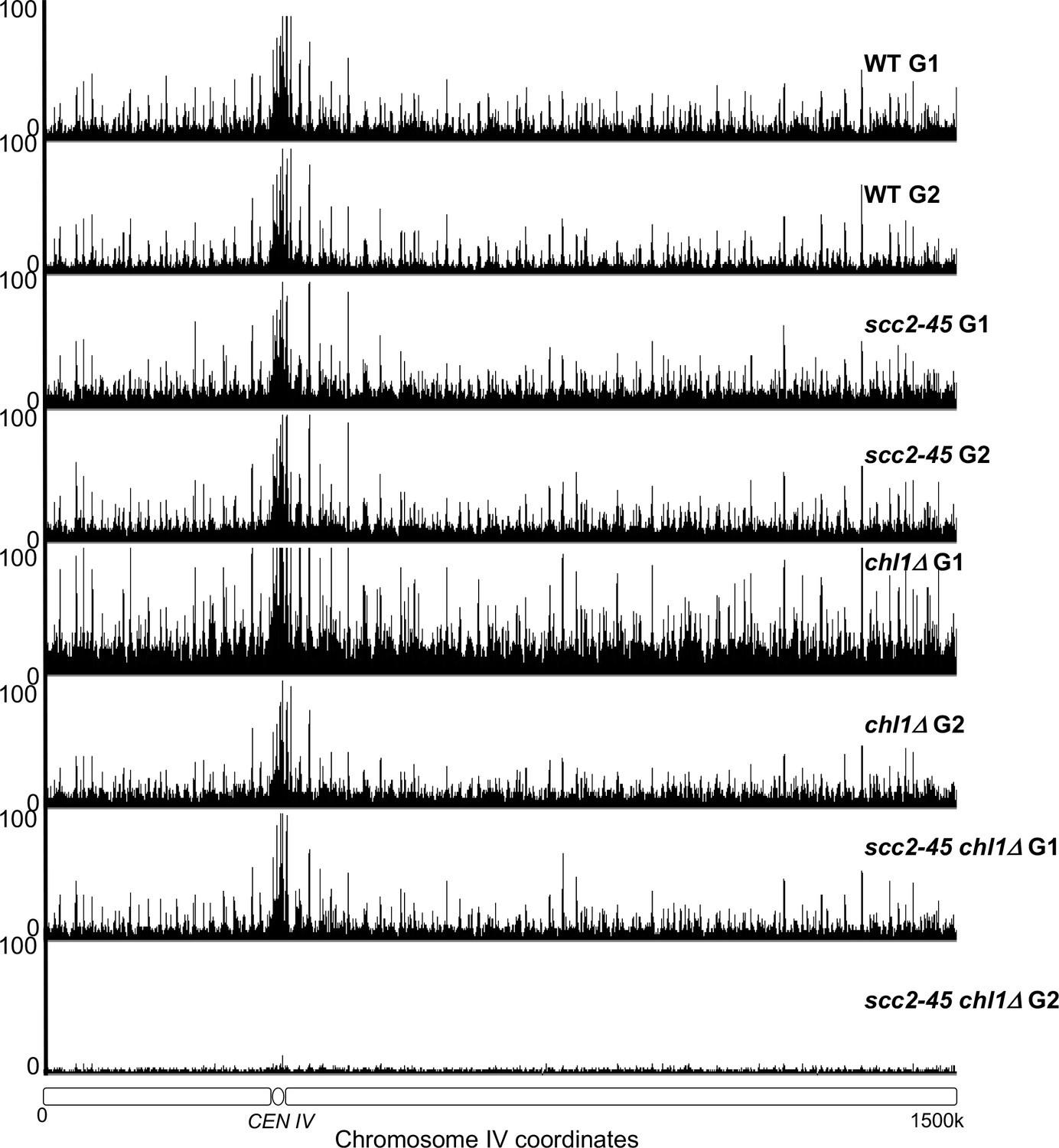 Figures and data in Cohesion is established during DNA replication ... Biology Diagrams