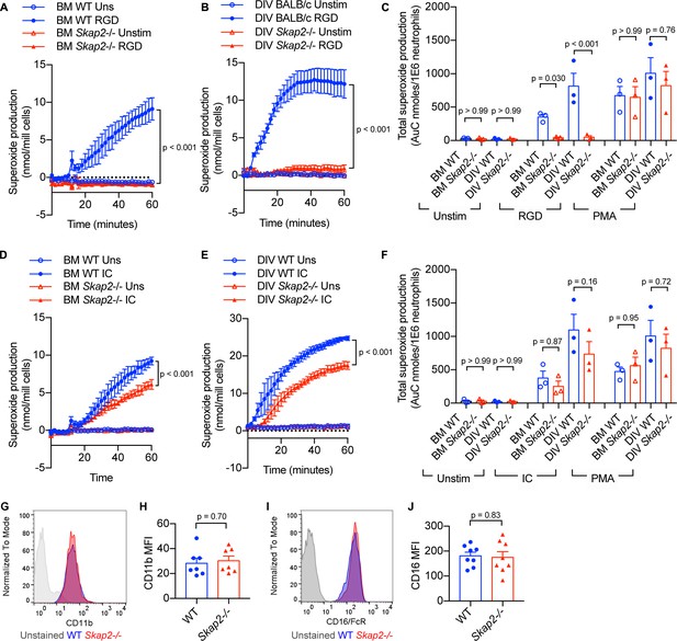 Figures and data in SKAP2 is required for defense against K. pneumoniae ...