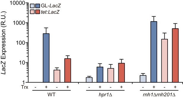 Figures and data in Harmful DNA:RNA hybrids are formed in cis and in a ...