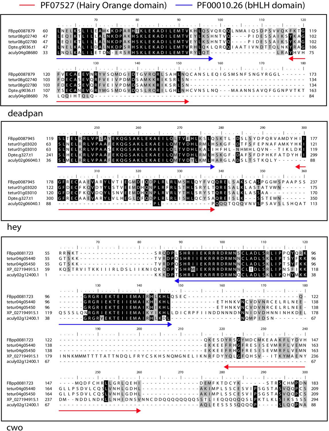 Genome Streamlining In A Minute Herbivore That Manipulates Its Host Plant Elife