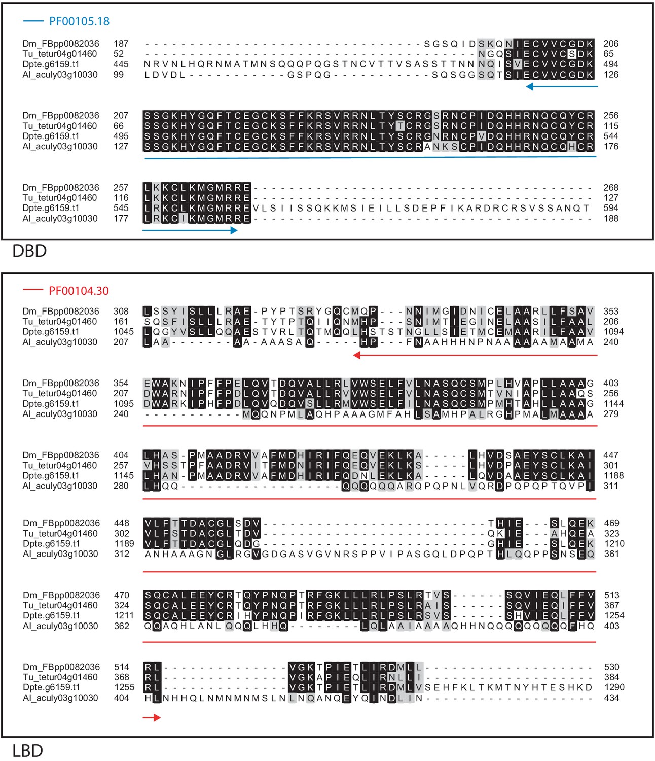 Genome Streamlining In A Minute Herbivore That Manipulates Its Host Plant Elife