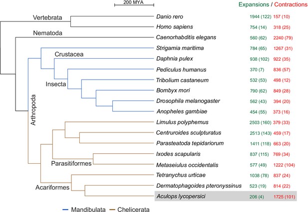 Figures and data in Genome streamlining in a minute herbivore that ...