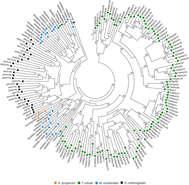 Figures and data in Genome streamlining in a minute herbivore that ...